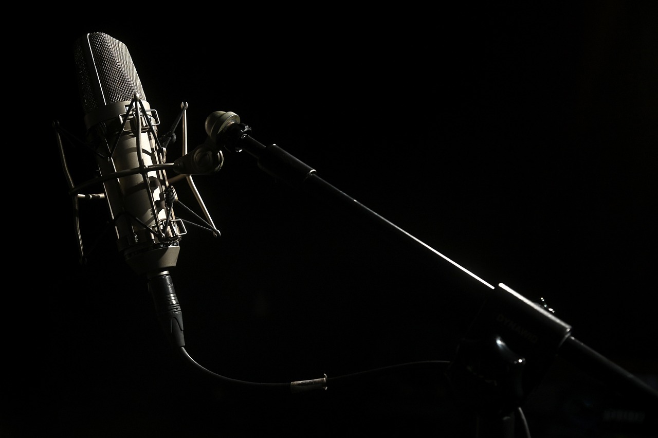 découvrez une sélection variée de podcasts captivants qui enrichissent vos connaissances et divertissent vos journées. plongez dans des histoires inspirantes, des interviews passionnantes et des discussions sur des sujets divers, le tout à écouter où que vous soyez.