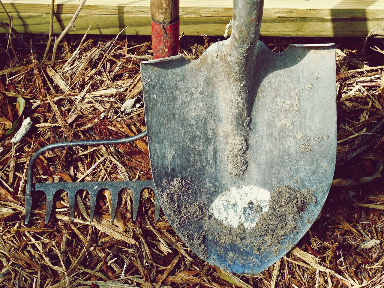découvrez les meilleurs outils d'e-réputation pour surveiller, gérer et améliorer votre image en ligne. optimisez votre présence digitale et protégez votre réputation grâce à des solutions innovantes et efficaces.