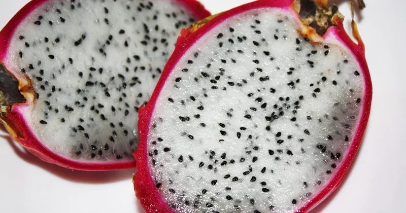 Comment manger un kiwi avec la peau : mes astuces d'habitué