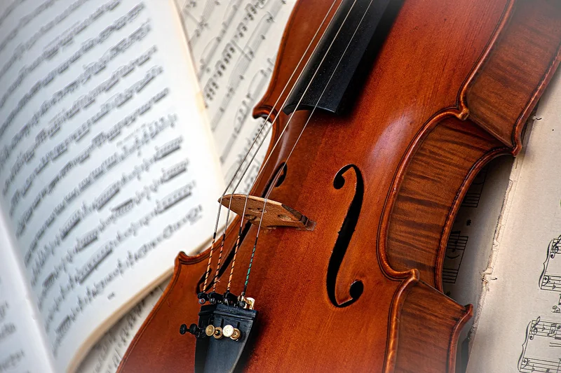 Les accessoires pour violon : ce qui est vraiment utile