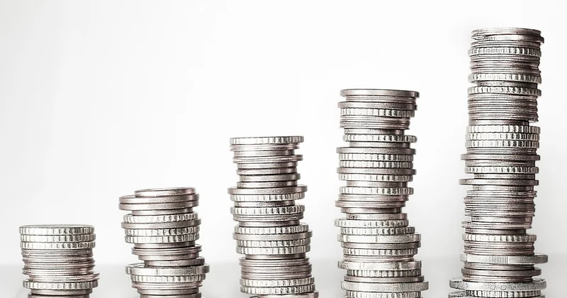 Prix et budget : ce que coûte réellement un petit lévrier italien en France