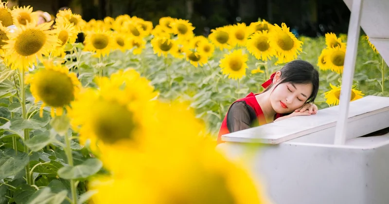 Nom de fleur poétique ou romantique : quand le mot compte plus que la plante