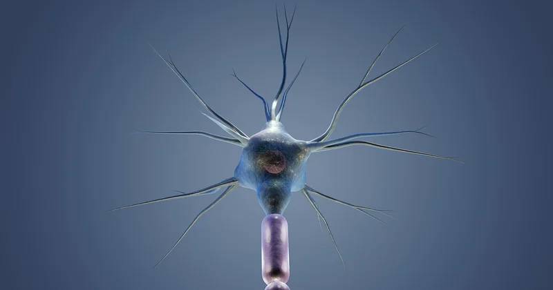 Le syndrome du canal carpien : symptômes, test et diagnostic