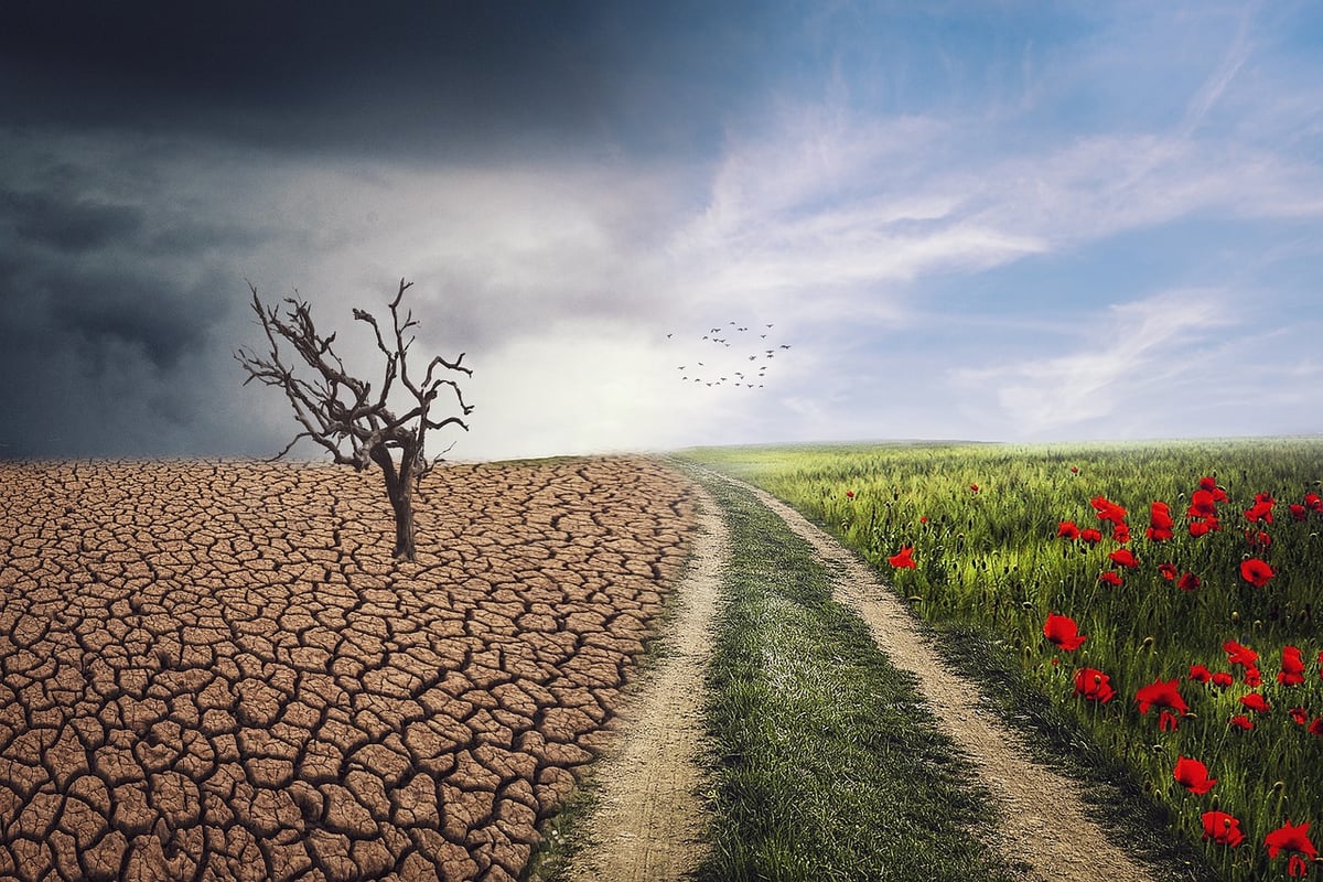 Les changements de comportement des utilisateurs et le seo