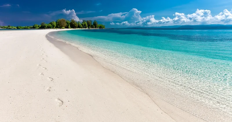 Sac plage XXL ou grand cabas : que choisir selon son usage ?