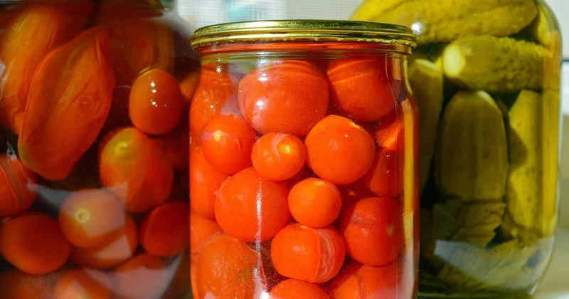 Tomates cerises en hiver : peut-on garder les plants ?