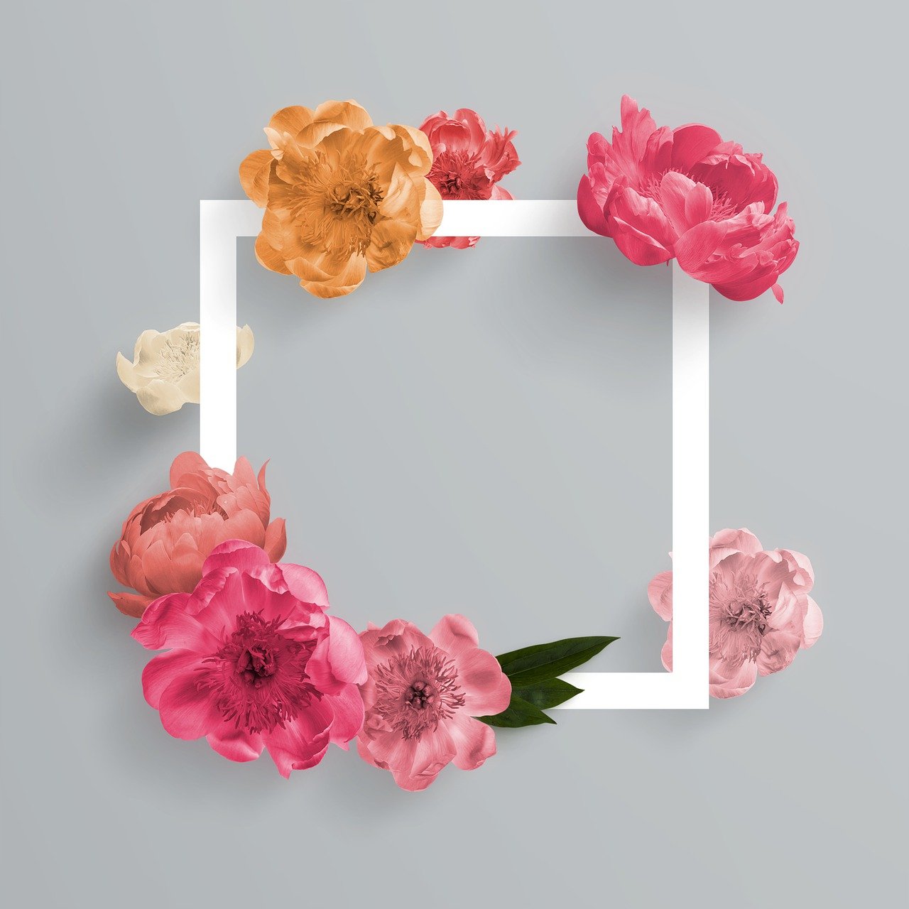 découvrez comment optimiser votre présence sur instagram grâce au seo. apprenez des stratégies efficaces pour améliorer la visibilité de votre profil, augmenter votre nombre d'abonnés et générer plus d'engagement. transformez votre compte instagram en un outil performant pour votre marque.